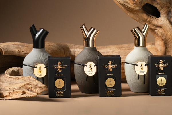 Trees of the West: A Fragrance Collection Rooted in Nature